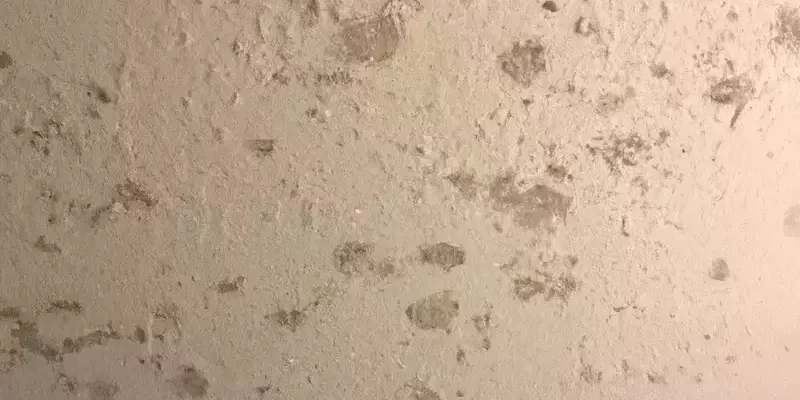 Mold on Popcorn Ceiling