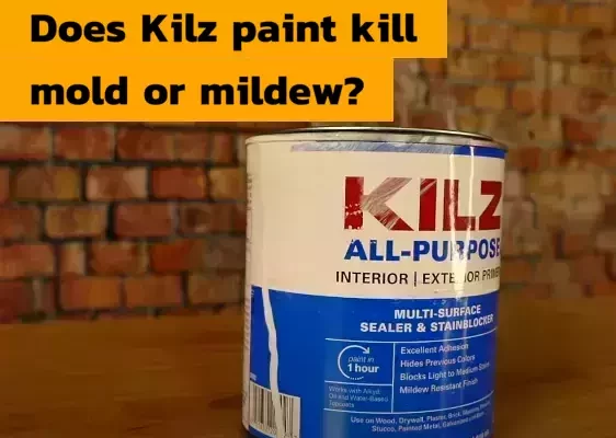 Does Kilz paint kill mold or mildew?