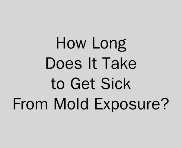 How Long Does It Take to Get Sick From Mold Exposure?