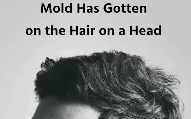 Mold Has Gotten on the Hair on My Head - What Should I Do?